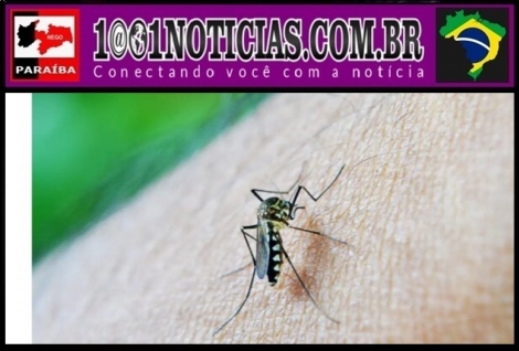 Foto Reproduo - Montagem: Sistema 1001 Notcias de Comunicao