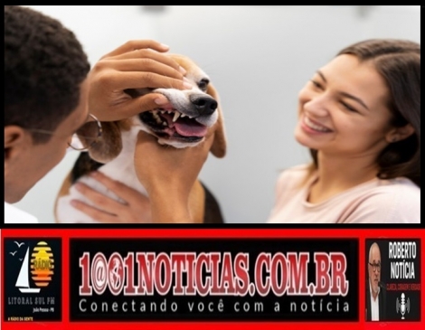 Foto Reprodu��o - Montagem: Sistema 1001 Not�cias de Comunica��o21