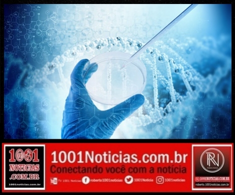 Foto Reproduo - Montagem: Sistema 1001 Notcias de Comunicao 