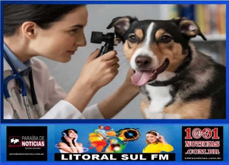 Foto Reprodução - Montagem: Sistema 1001 Notícias de Comunicação