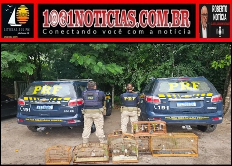 Foto Reprodu��o - Montagem: Sistema 1001 Not�cias de Comunica��o