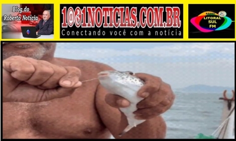 Foto Reproduo - Montagem: Sistema 1001 Notcias de Comunicao