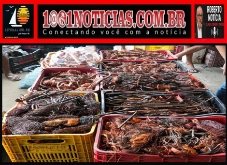 Foto Reprodu��o - Montagem: Sistema 1001 Not�cias de Comunica��o