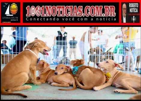 Foto Reprodu��o - Montagem: Sistema 1001 Not�cias de Comunica��o