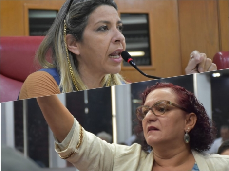Sandra Marrocos PSB) e Eliza Virgnia (PP) protagonizassem mais um debate acirrado na Cmara, mas desta vez o clima ficou to tenso com os gritos das parlamentares em plenrio